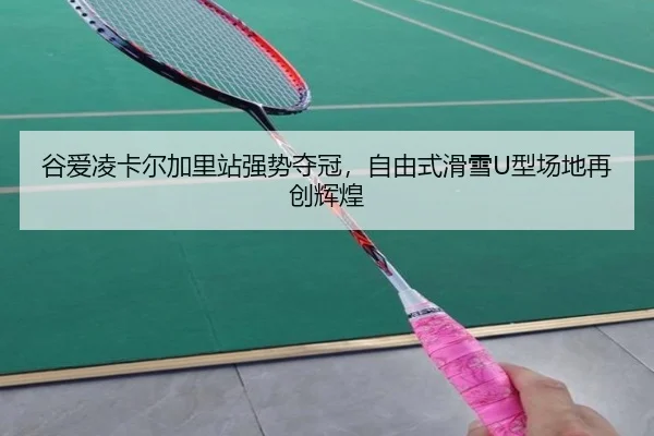 gu-ai-ling-ka-er-jia-li-zhan-qiang-shi-duo-guan-zi-you-shi-hua-xue-xing-chang-di-zai-chuang-hui-huang-3-473.jpg