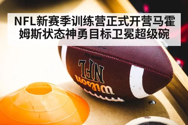 NFL新赛季训练营正式开营马霍姆斯状态神勇目标卫冕超级碗