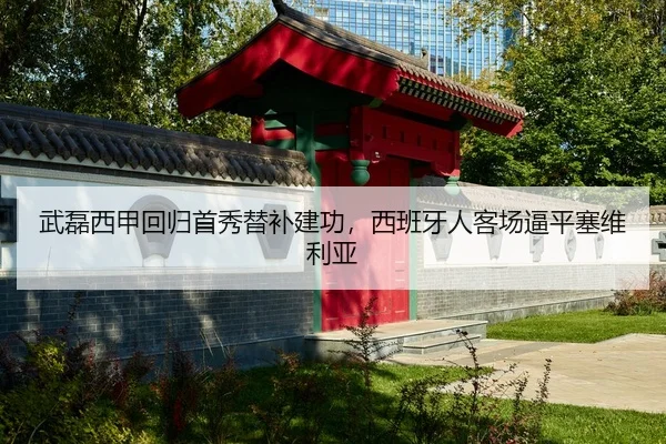 wu-lei-xi-jia-hui-gui-shou-xiu-ti-bu-jian-gong-xi-ban-ya-ren-ke-chang-bi-ping-sai-wei-li-ya-2-373.jpg